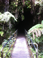 Entrance to Thurston Lava Tube